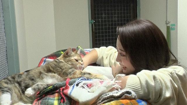 嗚呼!!みんなの動物園