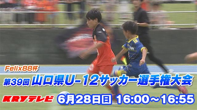 Ｆelix８８杯 第３９回  山口県Ｕ-１２サッカー選手権大会