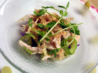 蒸し鶏のスパイシーヨーグルトソース