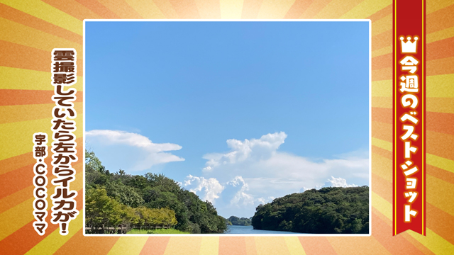 2025年8月18日(月)～8月22日(金)