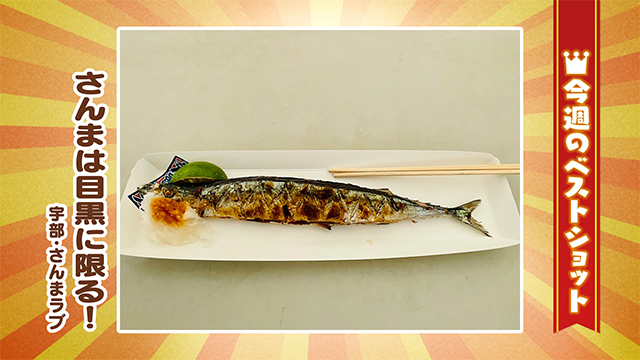 2025年10月14日(火)～10月17日(金)