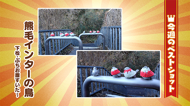 2025年12月22日(月)～12月26日(金)