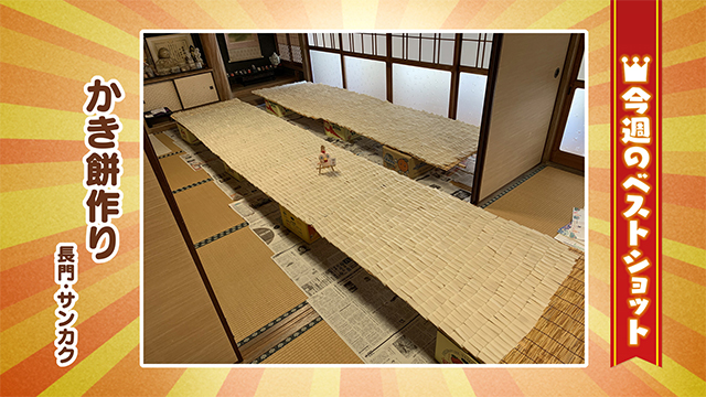 2026年1月13日(火)～16日(金)