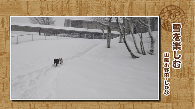 2026年1月19日(火)～23日(金)