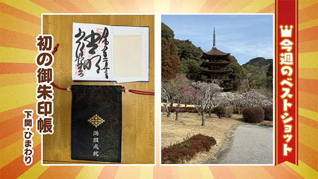 2026年2月23日(月)~27日(金)