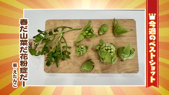 2026年3月2日(月)～6日(金)