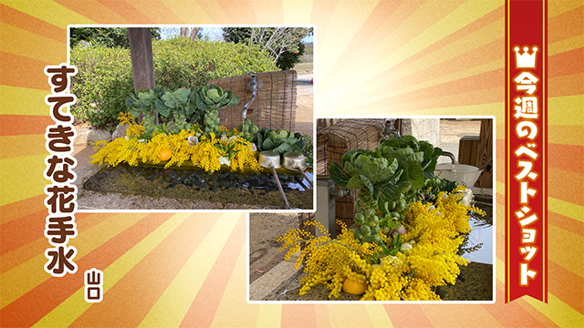 2026年3月9日(月)~13日(金)