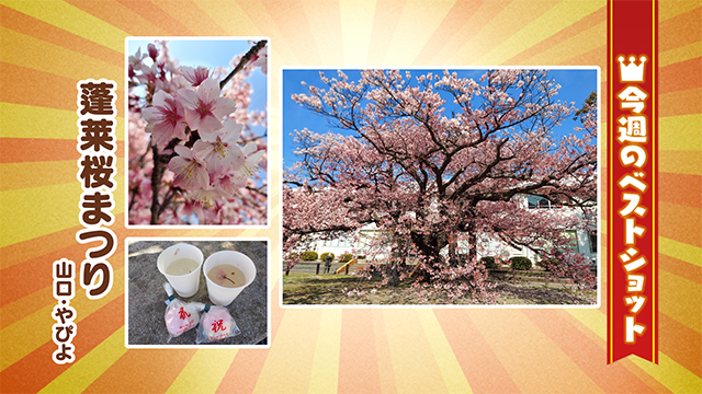 2026年3月16(月)~19日(金)