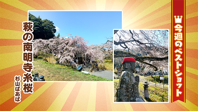 2026年3月23(月)~27日(金)