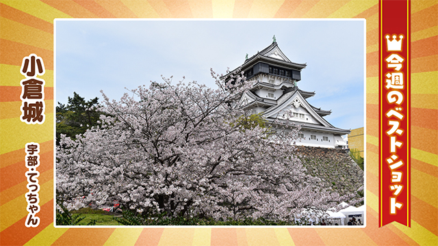 2026年4月06(月)～4月10日(金)