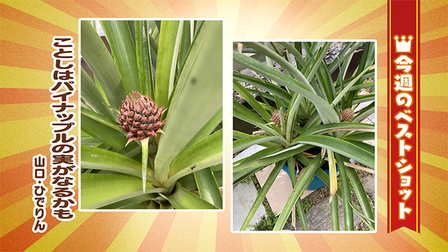 2026年4月20(月)～4月24日(金)