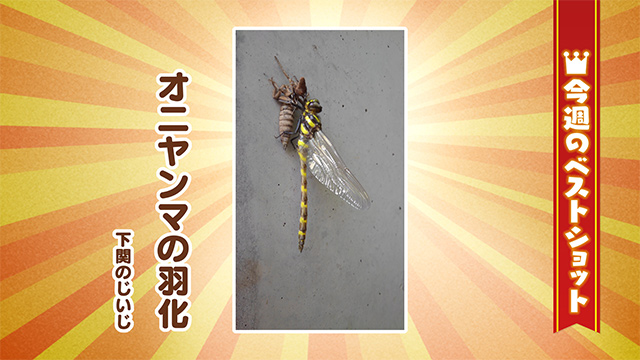 2026年6月29(月)～7月3日(金)