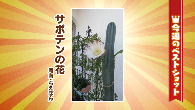 2026年8月31(月)～9月4日(金)