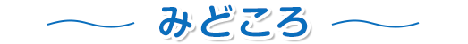 みどころ